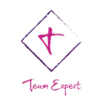 teamexpert Avatar