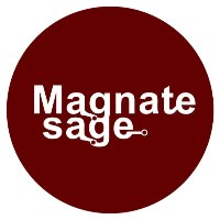 Magnatesage Technologies Pvt. Ltd. Avatar