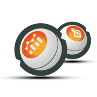 RankEgg