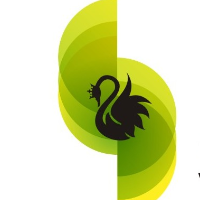 Swans Technology Avatar