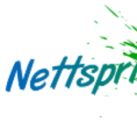 NETTSPRING Avatar
