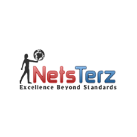 Netsterz Infotech Pvt. Ltd. Avatar