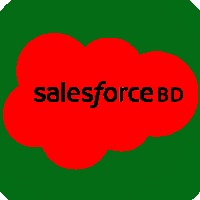 Salesforce BD Avatar
