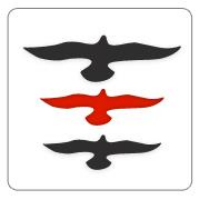 BizExcel.net Avatar