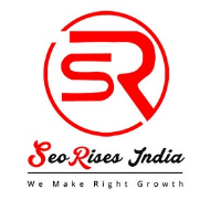 SeoRises India Avatar