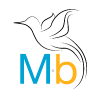 Micro-B Avatar
