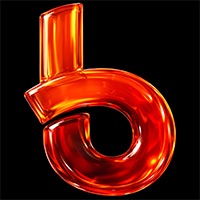Brandician Expert Services Avatar