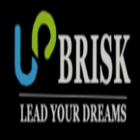 Up Brisk Avatar