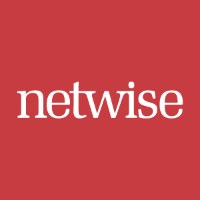 netwise | a digital marketing and ecommerce agency  Avatar