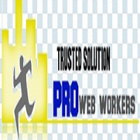 pro web workers Agency Avatar