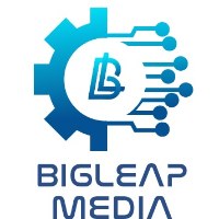 Bigleap Media - Agency of Top Rated Freelancers