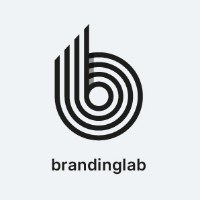 Brandinglab Accredited Webflow Agency Avatar