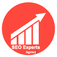 SEO Experts Agency India Avatar