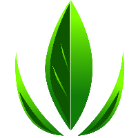 Sage Consulting Group Avatar