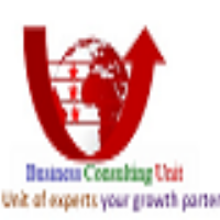 Business Consulting Unit Avatar