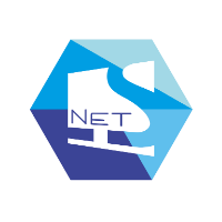 NetLS  Software Development Avatar