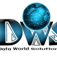 DataWorld Solutions Avatar