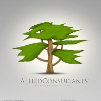 Allied Consultants Avatar