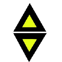 VisionAlly Solutions Avatar