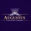 Augustus International Enterprises, LLC Avatar