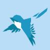 Blue Sparrow Web Studio Avatar