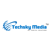 TechSky Media Avatar