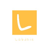 Labdhie Virtual Solutions Private Ltd. Avatar