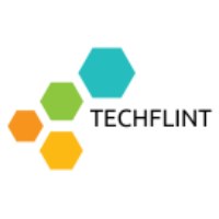 Techflint Avatar