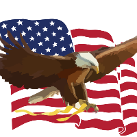 Rapid Eagle Avatar