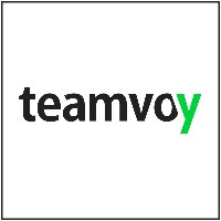 Teamvoy | Your Responsible Technology Partner Avatar