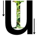 Unique Ideas Avatar