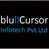 bluCursor Infotech Private Limited Avatar