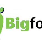 BigFoot Techno Avatar
