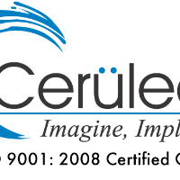 Cerulean Information Technology Private Limited Avatar