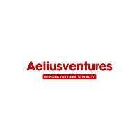 AeliusVentures Avatar