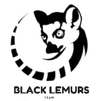 Black Lemurs - Lead Generation and Lidar Annotation Experts  Avatar