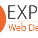 Expert Web Developer !!! | Upwork Company Profile - Hire Today