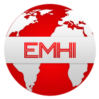 Emhi Solutions Avatar