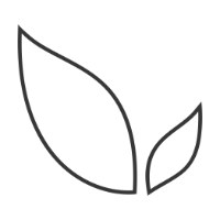 Avivi Avatar