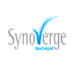 Synoverge Technologies Pvt. Ltd. - Microsoft Gold Partner |  ISO/IEC 27001:2022 | 250+ Staff | 15+ years of experience Avatar