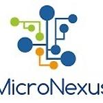 Micronexus - Web, Mobile and AngularJS, NodeJS, DynamoDB, Lambda Experts Avatar