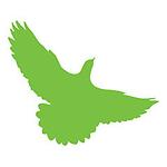 Green Bird Media Avatar