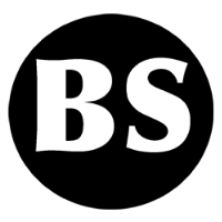 Beryl Systems  Avatar