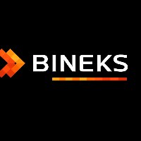Bineks LLC