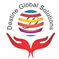 Destine Global Solutions Avatar