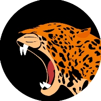 Jaguar Team Avatar