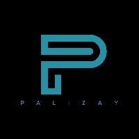 Palizay Holdings Avatar