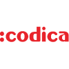 Codica Avatar