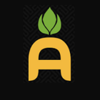 Pineapple Lab Avatar