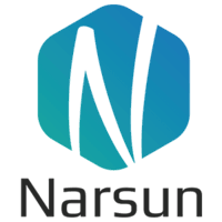 Narsun Studios Avatar